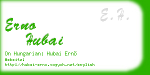 erno hubai business card