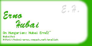 erno hubai business card